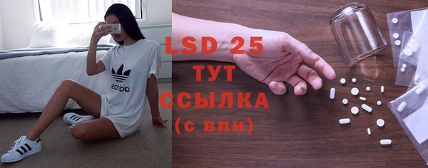 соль ск Шали
