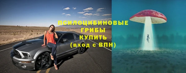 соль ск Шали