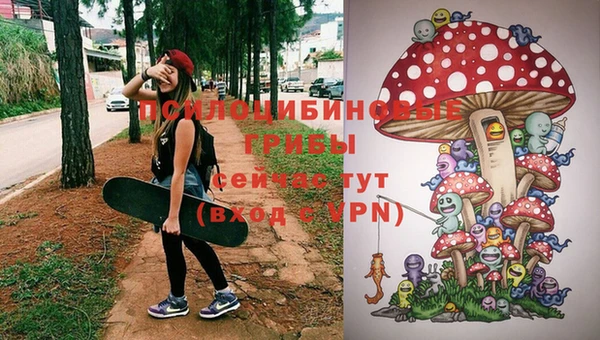 соль ск Шали