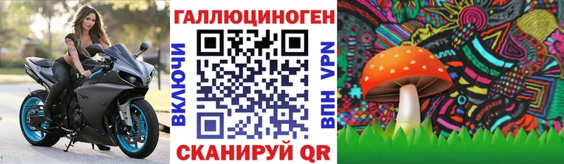 где купить наркоту  Железноводск  Псилоцибиновые грибы GOLDEN TEACHER 