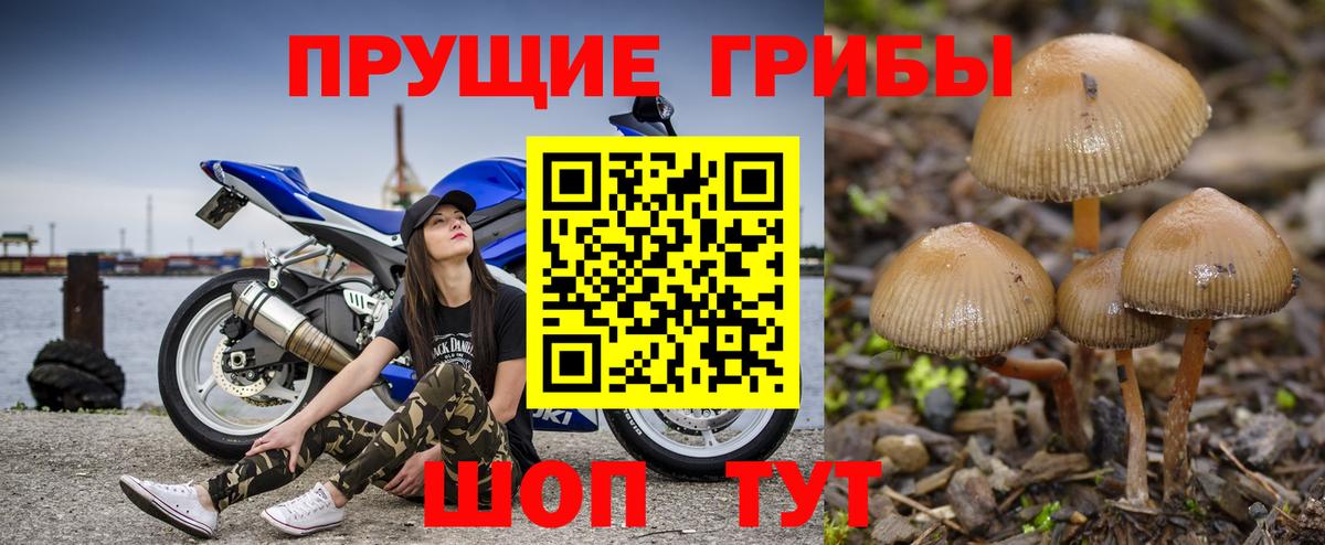 Псилоцибиновые грибы мухоморы Железноводск