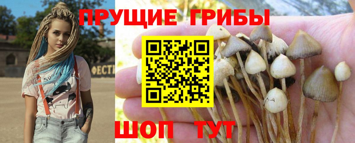 Псилоцибиновые грибы мухоморы  Вход с VPN  Железноводск 